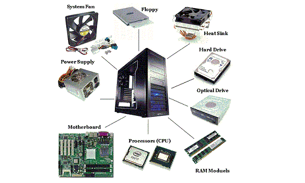 Project Name